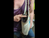 Black cat likes to be in bags