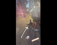 Collab winy - Dog on street howl with ambulance siren