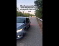 Girl pulled over spider in car