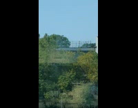 Collab winy - Firefighters shoot out water to some trees