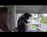 Collab Clips mpugc - Woman brings dog outside to show it nothing