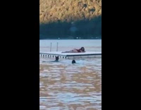 Woman in red bikini WAP dance at the platform on the ocean