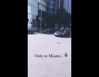 Black car drives with christmas tree roof 