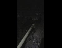 Guy cooks marshmallows between volcanic rocks 