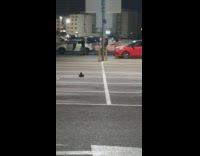 Girl sits on hood pink convertible car 