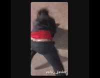 Guy and girl steal metal napkin containers from restaurants and run into their car in the parking lot