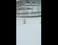 Girl white dress takes selfies snow park