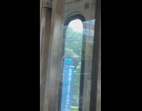 Chicken strip combo ad and Go vegan ad featuring chickens one subway door apart