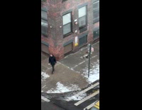 Man walk on street with dog on wheels