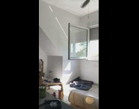 Pet cat watches television near the window