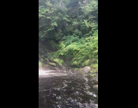 View of the waterfalls near the wooden bridge
