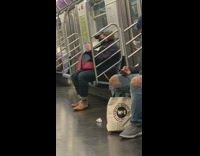 bird in pink bag on the subway train
