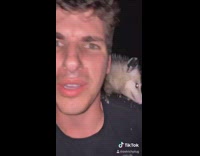 Night time guy with different animals
