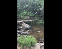Woman purple shorts pose on wooden bridge creek
