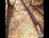Guy rides blue bicycle through obstacle course 