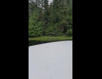 Family fishing in boat hear wolves howl 