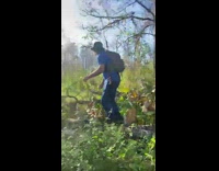 Man blue shirt stand on tree log