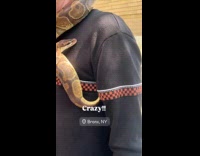 Man tells story with snake around him