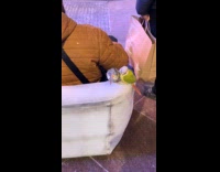 Man riding motorized chair with pet birds