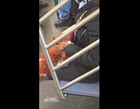 Woman fix hair while riding the subway