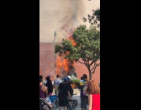Crowd look at burning plant bush street