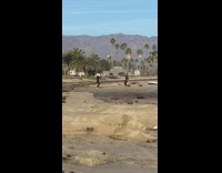Collab Kook Of The Day - two people tossing ball back and forth at the beach 