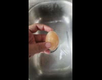 Person hold an egg with soft shell
