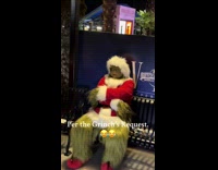 Submitter meets the Grinch at VIP experience 