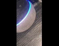 Collab BitchMP - Guy asks Alexa home device to fart