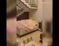 Guy pink blanket hide and seek dog