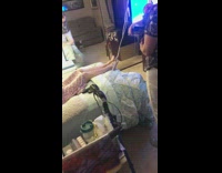 Grandma meets her great granddaughter 