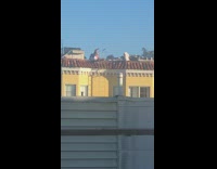 Woman hoodie jacket dance friends rooftop building