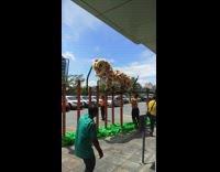 Collab Allfails - Person In Parade Costume Falls Off Poles
