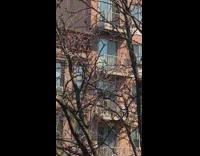 Guy blasts music while neighbor dances balcony 