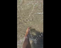 View of the beach at friars bay in st kitts 