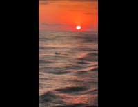 Submitter on yacht shows dolphins breaching on sunset