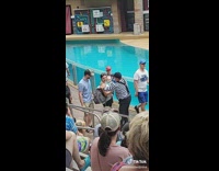 Mime at aquarium show tells mom to make father carry backpack