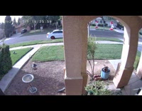 Lightweight package blown away by the wind