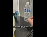 Collab Clips mpugc - Guy flicks water bottle at girl with cat