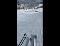 Collab VIBES - Man in Snowboard Hurts Himself as he Lands