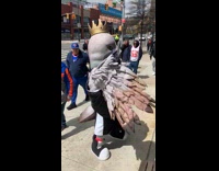 People film pigeon Brooklyn nets mascot dance