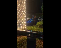 Woman See-through outfit with roses car photoshoot