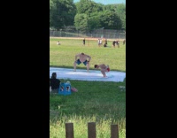 Two shirtless guys get ready to sumo wrestle 