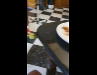 Brown dog sits watches guy eat food 