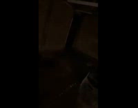 Man shows horse in the dark with glowing eyes