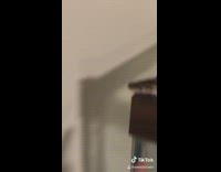 Collab BitchMP - Snake huge cage climbing corner