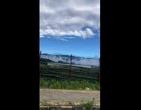 Time lapse of steam from the trees Part 2