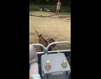 Guy running from goat jumps into boat 