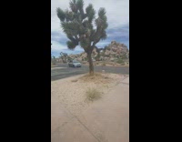 Girl sit outside grey car move window