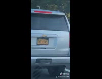 mambo number 5 tiktok car license plate